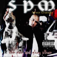 Mexican Radio - SPM