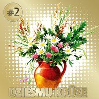 Sasala Jūrīna - Ance Krauze, TDA ansambļi