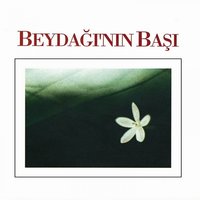 Yıldız Akşamdan Doğarsın - Ruhi Su