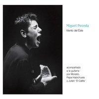 Y Yo Qué Culpa Tengo - Miguel Poveda, Moraíto Chico