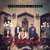 Trazendo a Arca