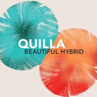 Spare Me Your Judgment - Quilla