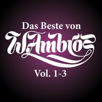 Früher oda später - Wolfgang Ambros