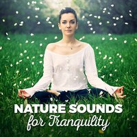 Nature Sounds for Sleep and Relaxation