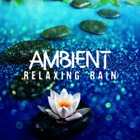 Ambient Rain