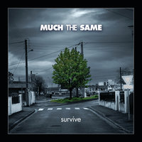 Much The Same