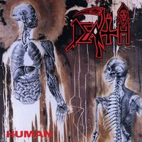 Lack of Comprehension - Death