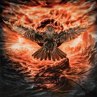 Locust Swarm - Falconer