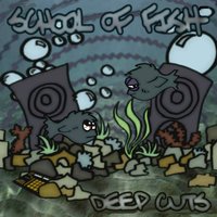 School Of Fish