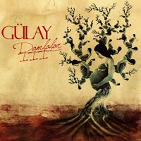 Şifa İstemem - Gülay