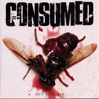 Wake Up With A Smile - Consumed