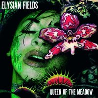 Barely Recognize You - Elysian Fields