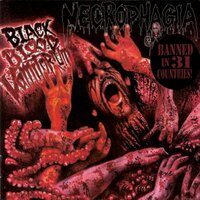 And You Will Live in Terror - Necrophagia