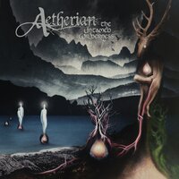 As the Veil Fades - Aetherian