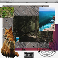 Intro - Sir Michael Rocks