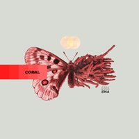 Mami - Sina, ¥EM