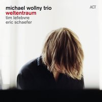 Un Grand Sommeil Noir - Michael Wollny, Tim Lefebvre, Eric Schaefer