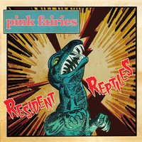 Pink Fairies