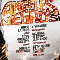 Y Volveré - Los Angeles Negros, Julieta Venegas