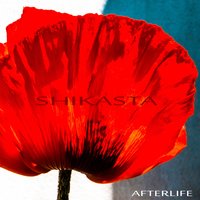 Surface Detail - Afterlife
