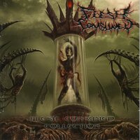 Flesh Consumed