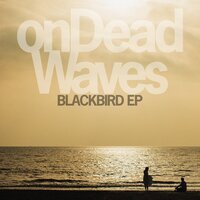 On Dead Waves