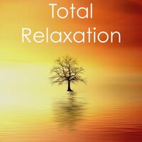 Relaxing Rain - Meditation Zen Master, Rain Sounds Nature Collection, Rain Sounds Sleep