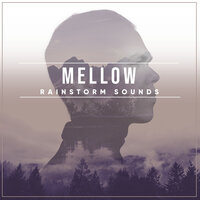 Relaxing Rain - Ambient Forest, Rain Sounds ACE, Elements of Nature, Ambient Forest, Rain Sounds ACE