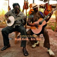 We Don't Care - Habib Koite, Eric Bibb