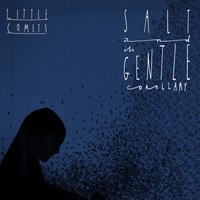 The Blur, the Line and the Thickest of Onions - Little Comets