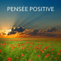 Wellness Music - Oasis de Détente et Relaxation