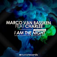 Marco van Bassken