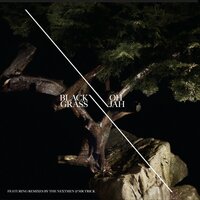 Black Grass