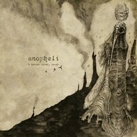 Anopheli