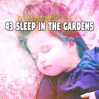 Slumbering Nights. - Nature Recordings