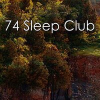 Slumbering Nights. - White Noise for Babies