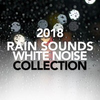 Rain Sounds & White Noise