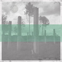 Black Lungs - Shirokuma