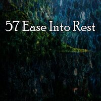 Fields of Harmony. - Relaxing With Sounds of Nature and Spa Music Natural White Noise Sound Therapy