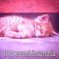 Fantasy of Sleep. - Relaxing With Sounds of Nature and Spa Music Natural White Noise Sound Therapy