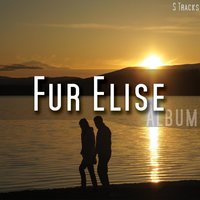 Air On a G String - Fur Elise