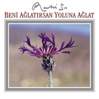 Yarim Derdini Ver Bana - Ruhi Su