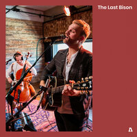 The Last Bison