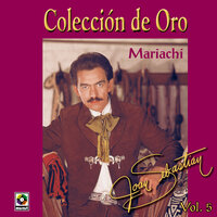 Me Enamoré de Ti - Joan Sebastian