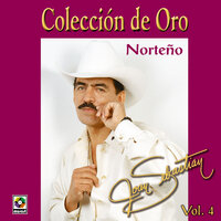 Un Cariño Como Tú - Joan Sebastian