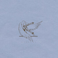Ostraca