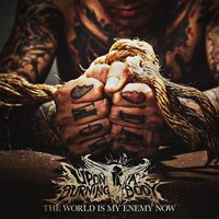 Fountain of Wishes - Upon A Burning Body
