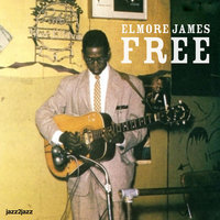 The Way You Treat Me - Elmore James