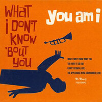 What I Don't Know 'Bout You - You Am I