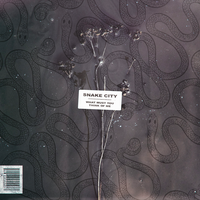 Fooled Me Good - Snake City